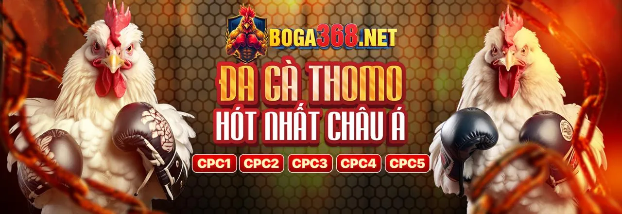 Biểu đồ tăng trưởng hoa hồng